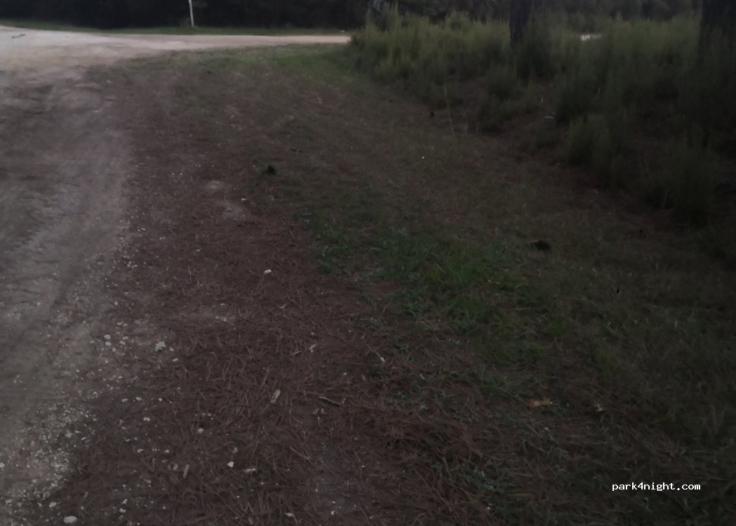 (17210) Bussac-Forêt - — foto