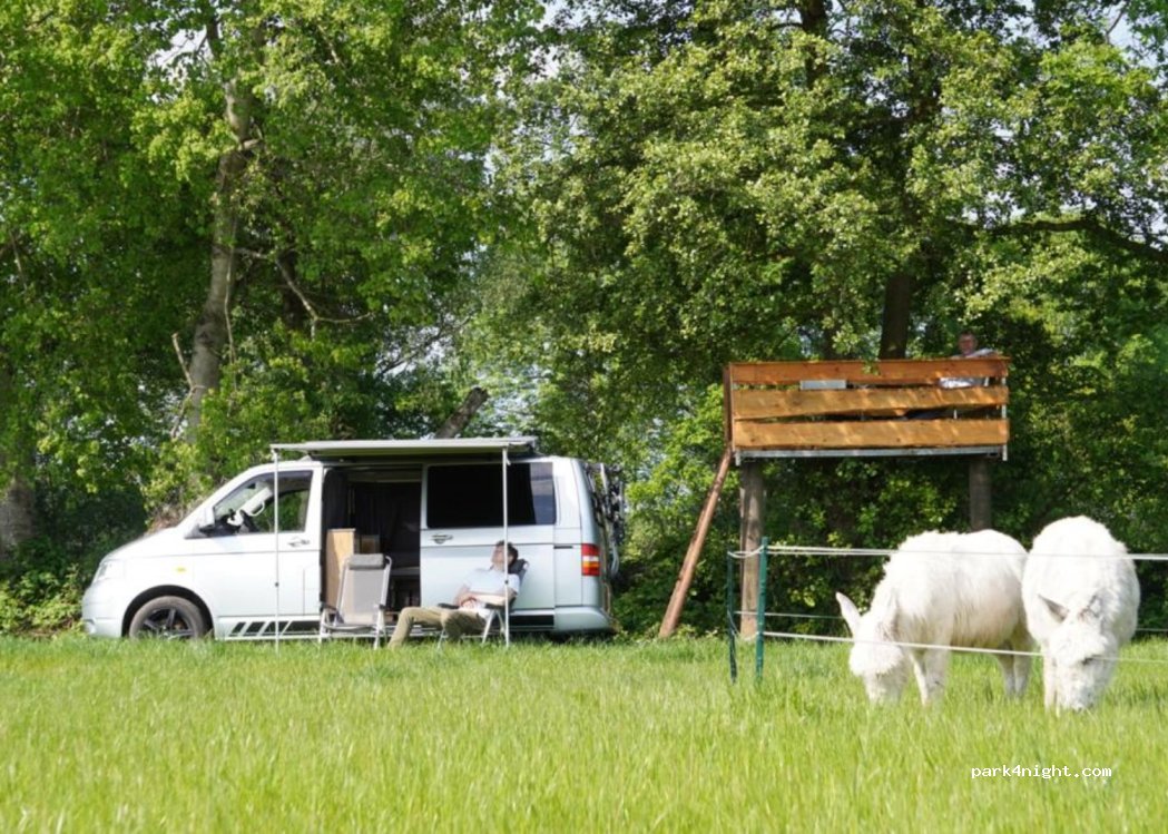 Klappboomshof - Eselwanderung - Übernachtung im Tiny House - Familie van Betteray — foto