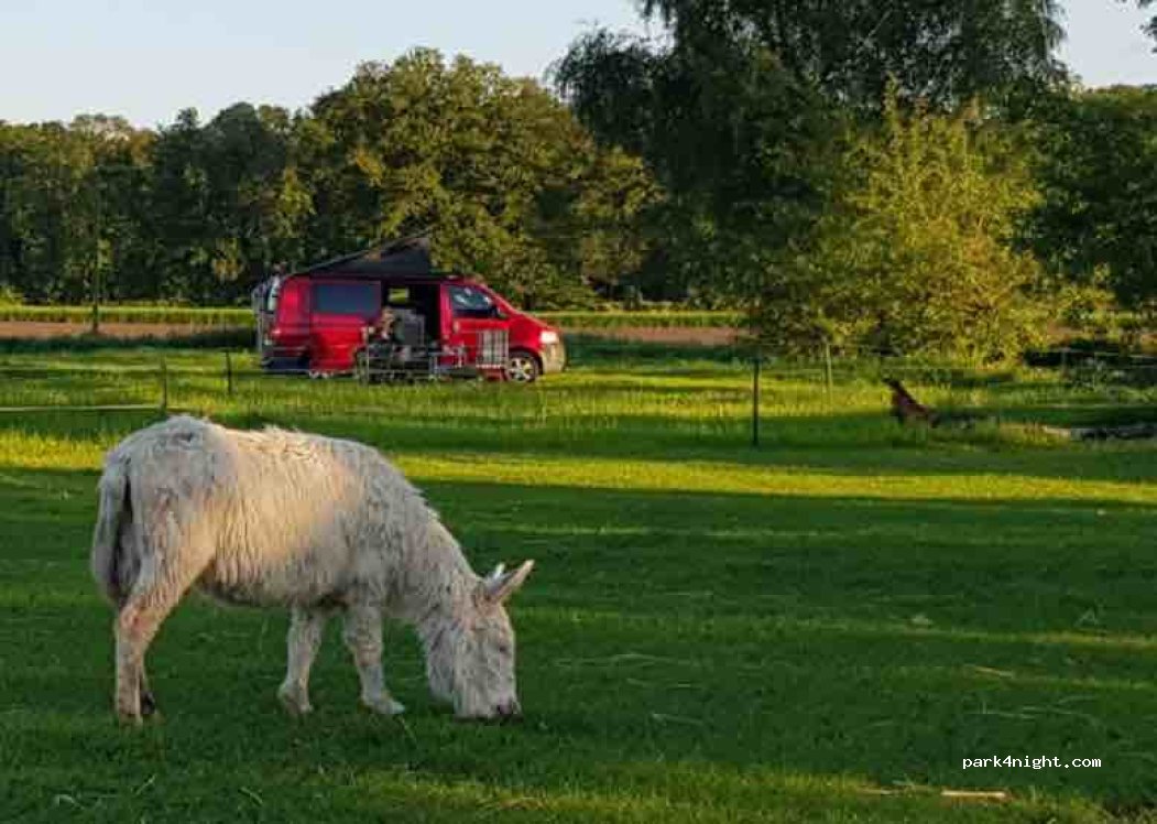 Klappboomshof - Eselwanderung - Übernachtung im Tiny House - Familie van Betteray — foto 2