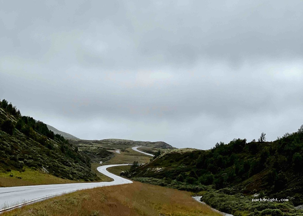 (2477) Sollia - 176 Primær Fylkesveg 27 — foto 3