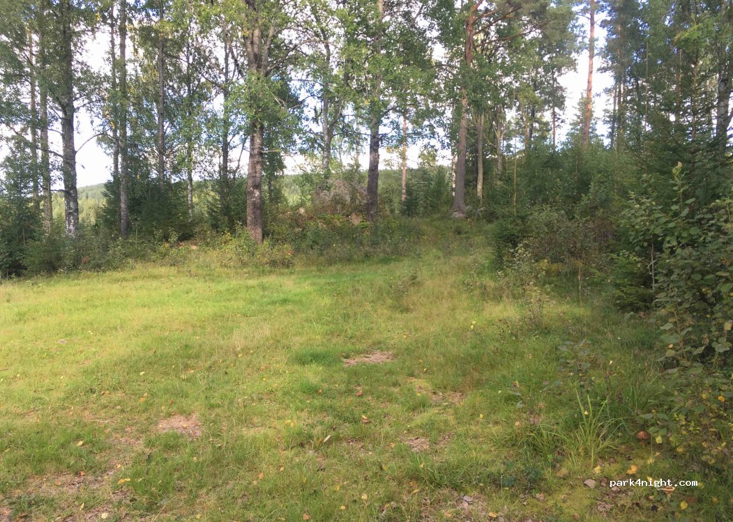 (2224) Varaldskogen - — foto