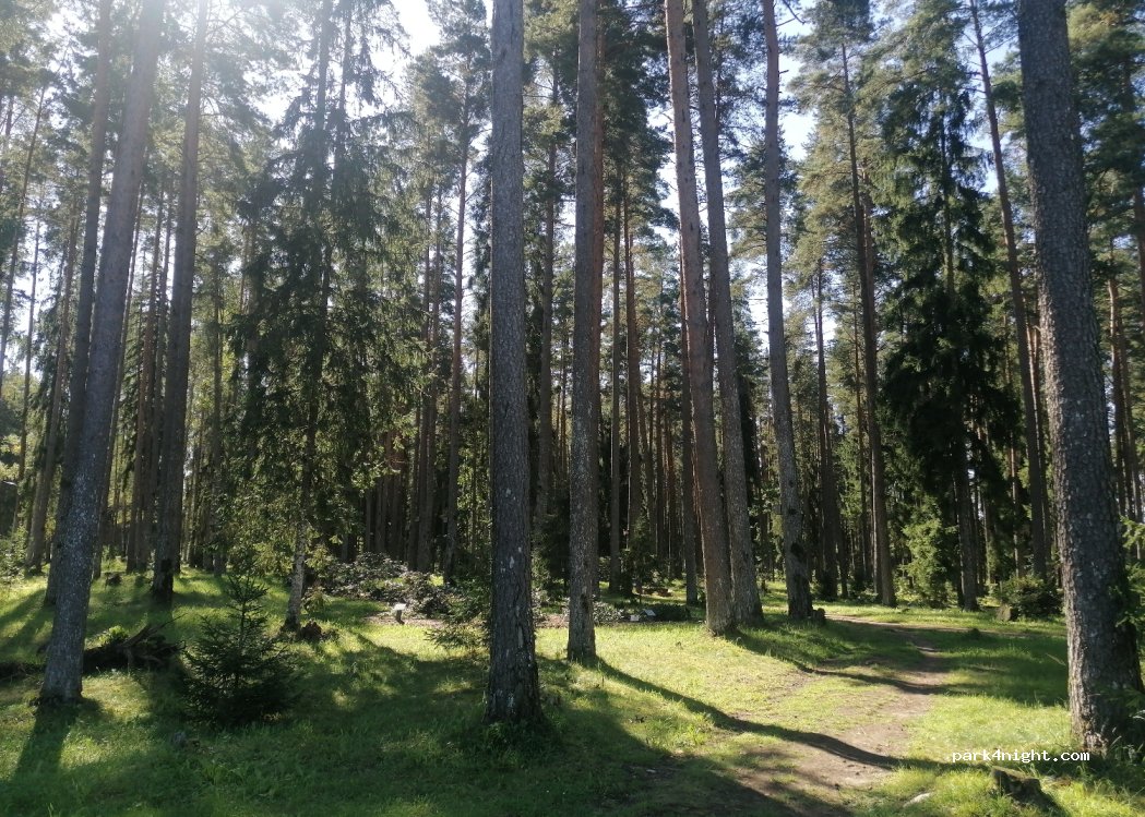 (3851) Brocēni - — foto