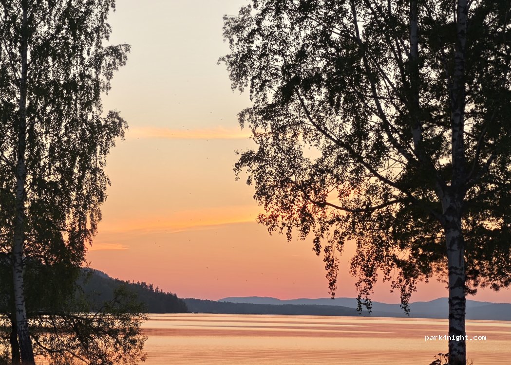 Skogs Camping — foto 5