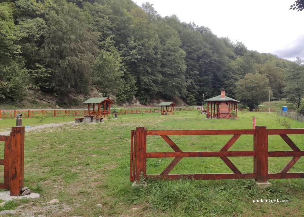 (247486) Băiașu - 703M — foto 5