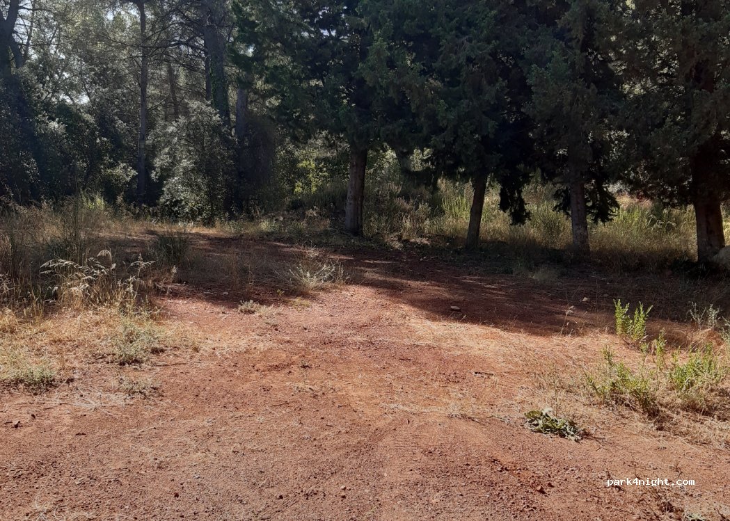 (83340) Le Cannet-des-Maures - Piste des 3 Puits — foto 2