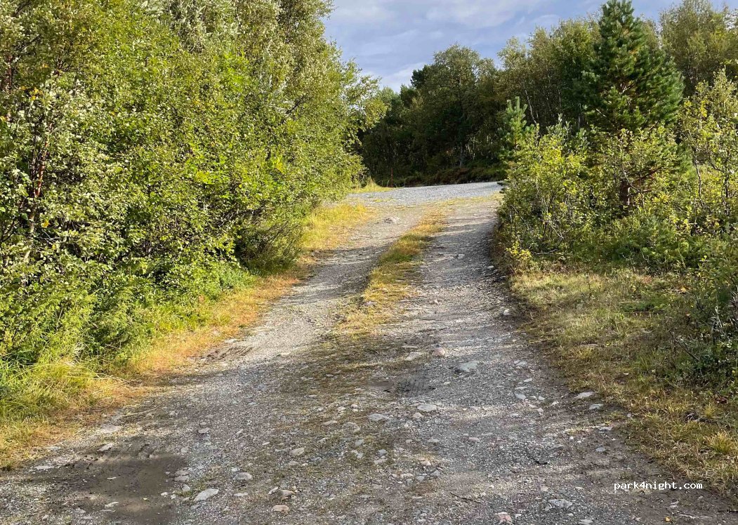 (9392) Stonglandseidet - — foto 2