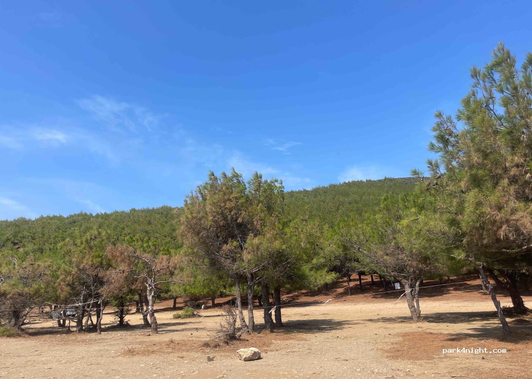 (17762) Uğurlu - Unnamed Road — foto 2