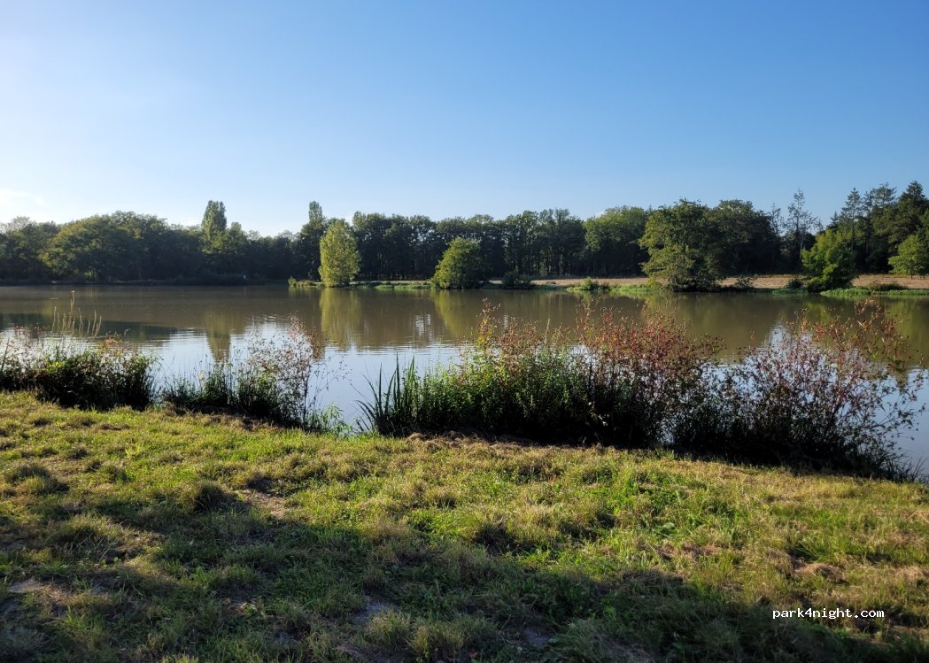 (45240) Ménestreau-en-Villette - 244 Chemin de la Perdriere — foto