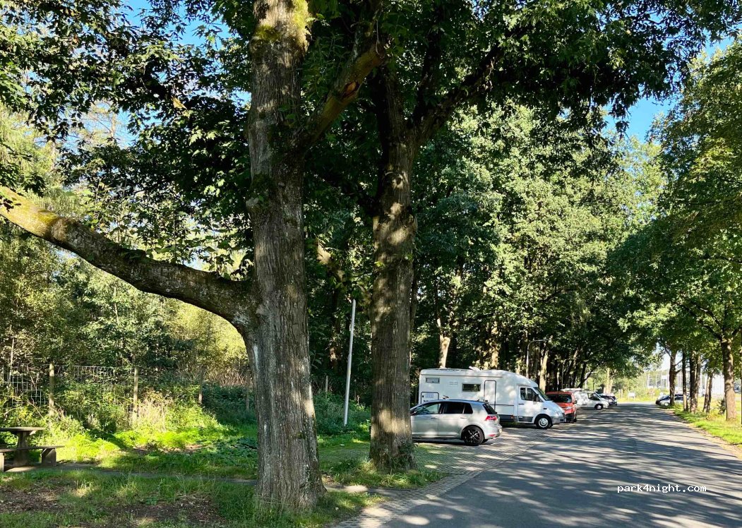 (6874) Wolfheze - Amsterdamseweg — foto
