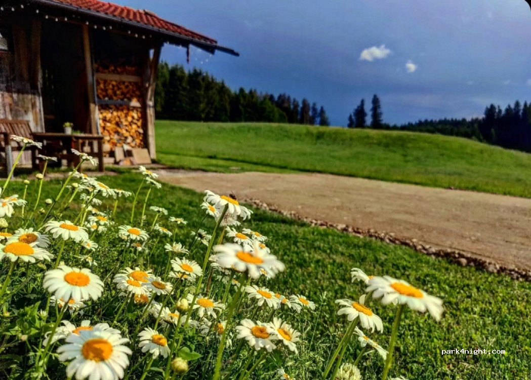 Wohnmobilstellplatz Naturglück Huber — foto 4