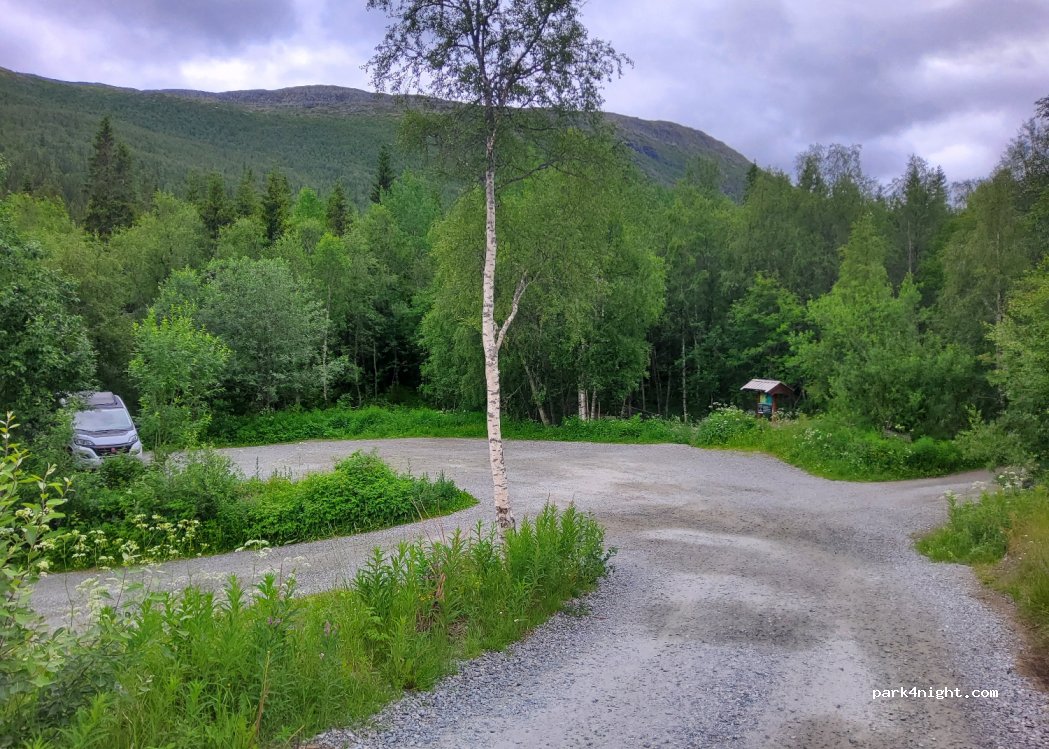 (3560) Hemsedal - 3535 Hemsedalsvegen — foto 4