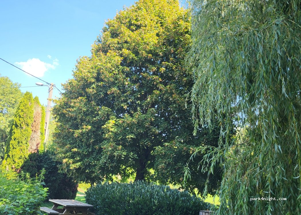 (52360) Frécourt - 3 Rue de Lorraine — foto 2