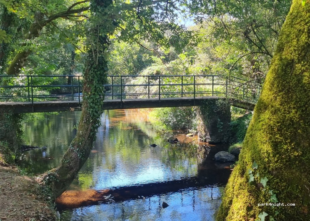 (24300) Savignac-de-Nontron - — foto