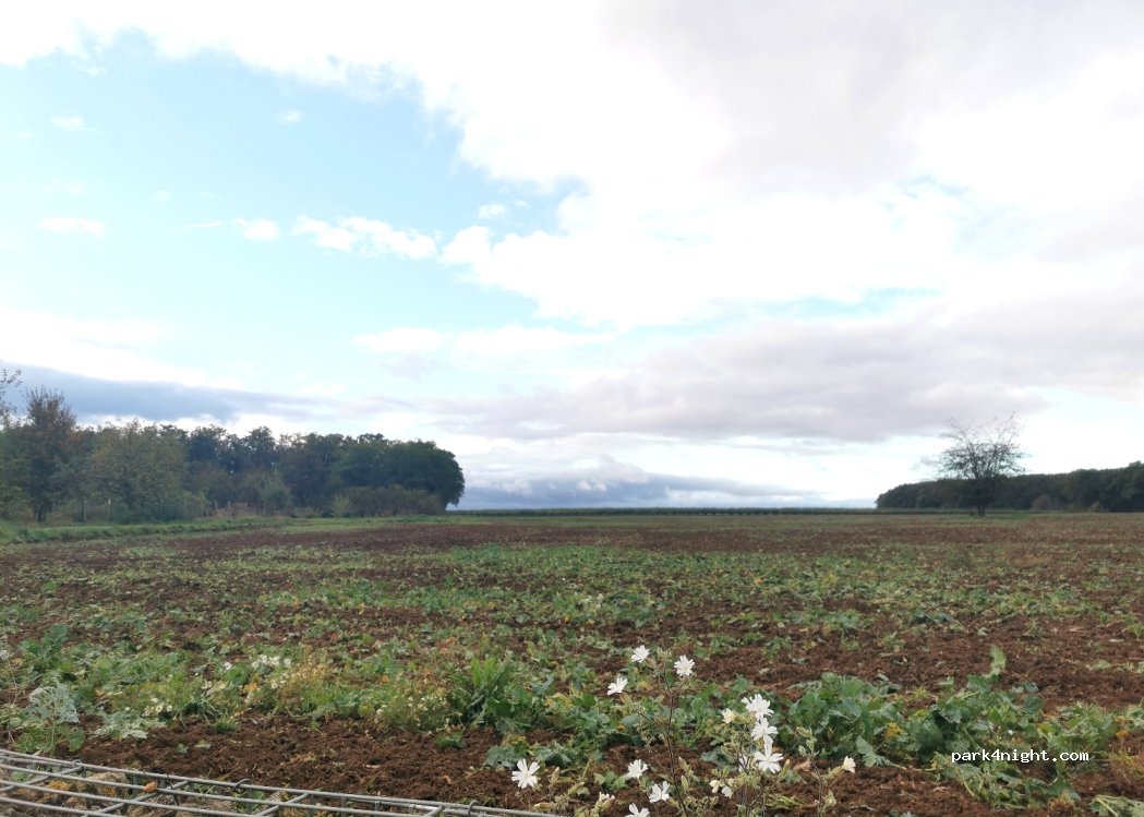 (55218) Ingelheim am Rhein - Hermannshof — foto 5