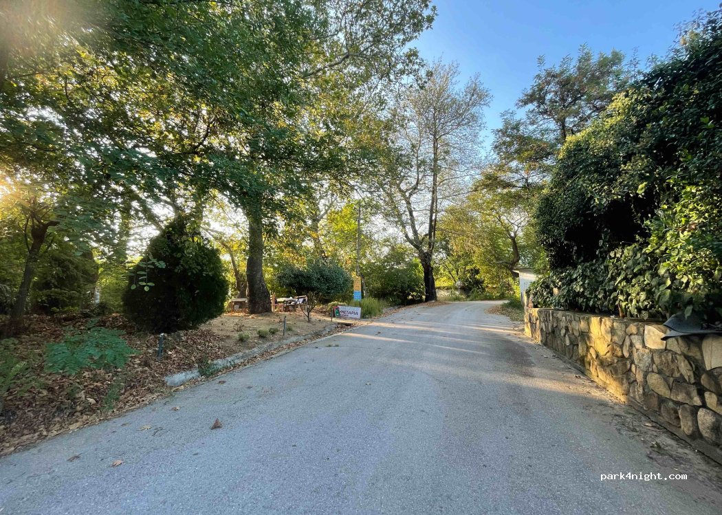 To Patriko Tavern, Το Πατρικό — foto 2