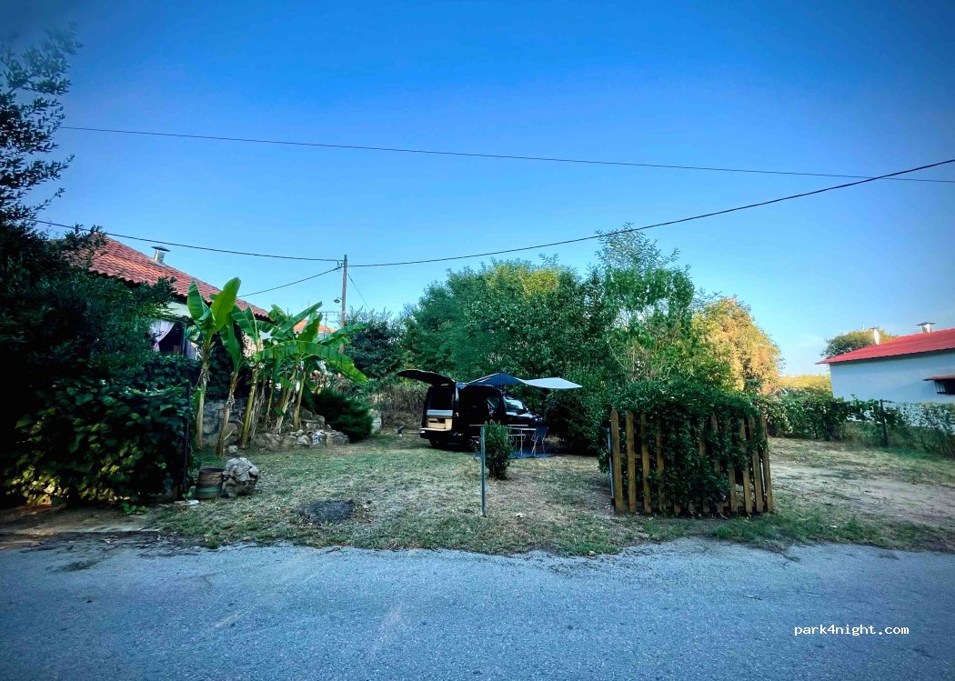 To Patriko Tavern, Το Πατρικό — foto 3