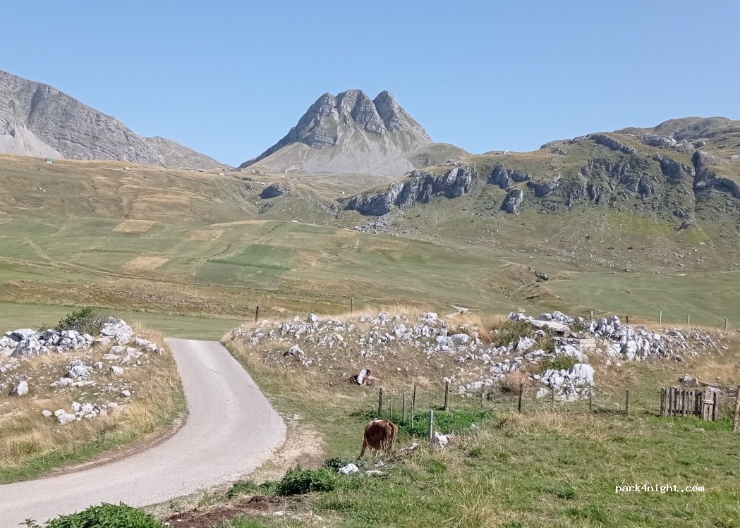 (81210) Velje Duboko - — foto 2