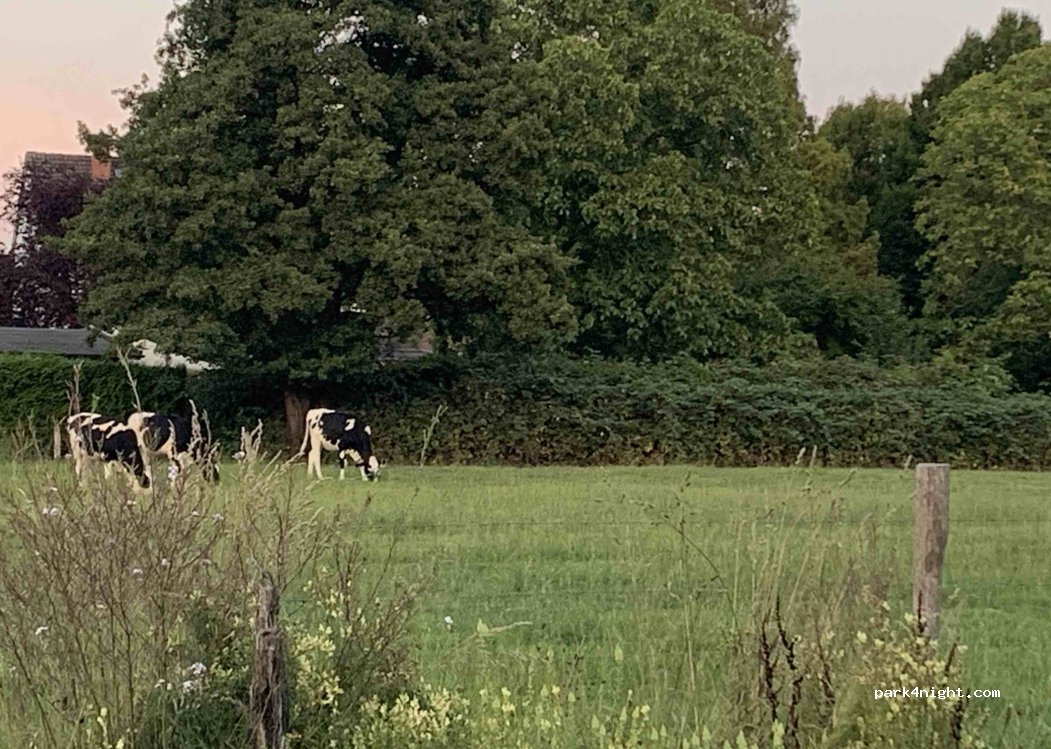 Camp Friedwart — foto 5