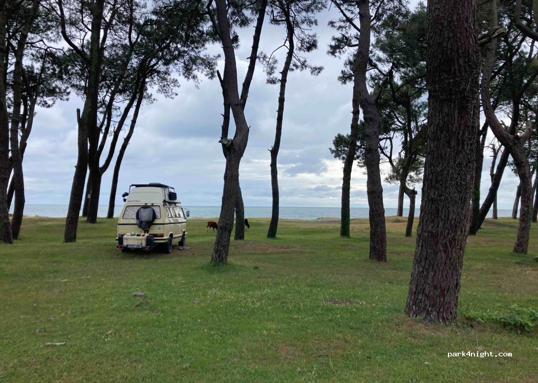 (6200) Kobuleti - — foto 3