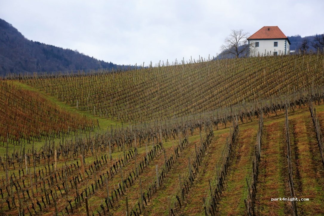 (3210) Slovenske Konjice - 1 Vrtna ulica — foto 4
