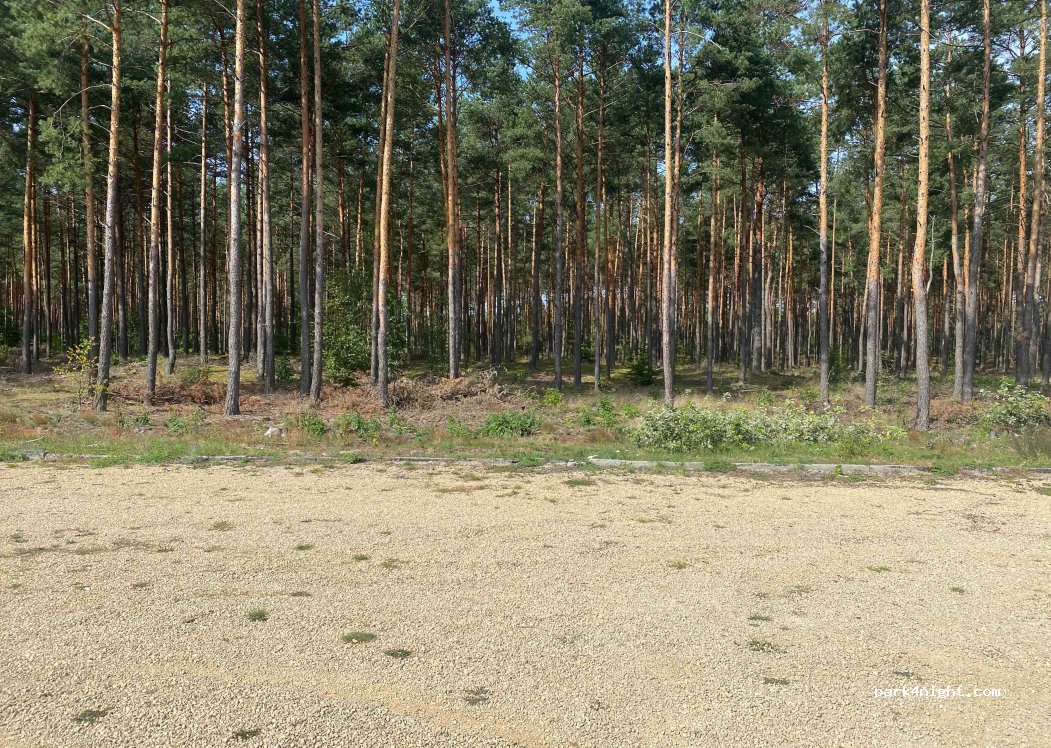 (42-320) Mirów - — foto