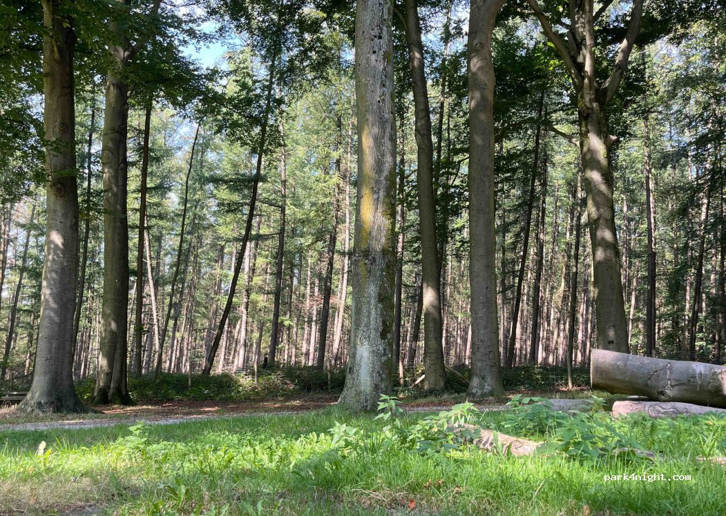 (8730) Beernem - Unnamed road — foto 2
