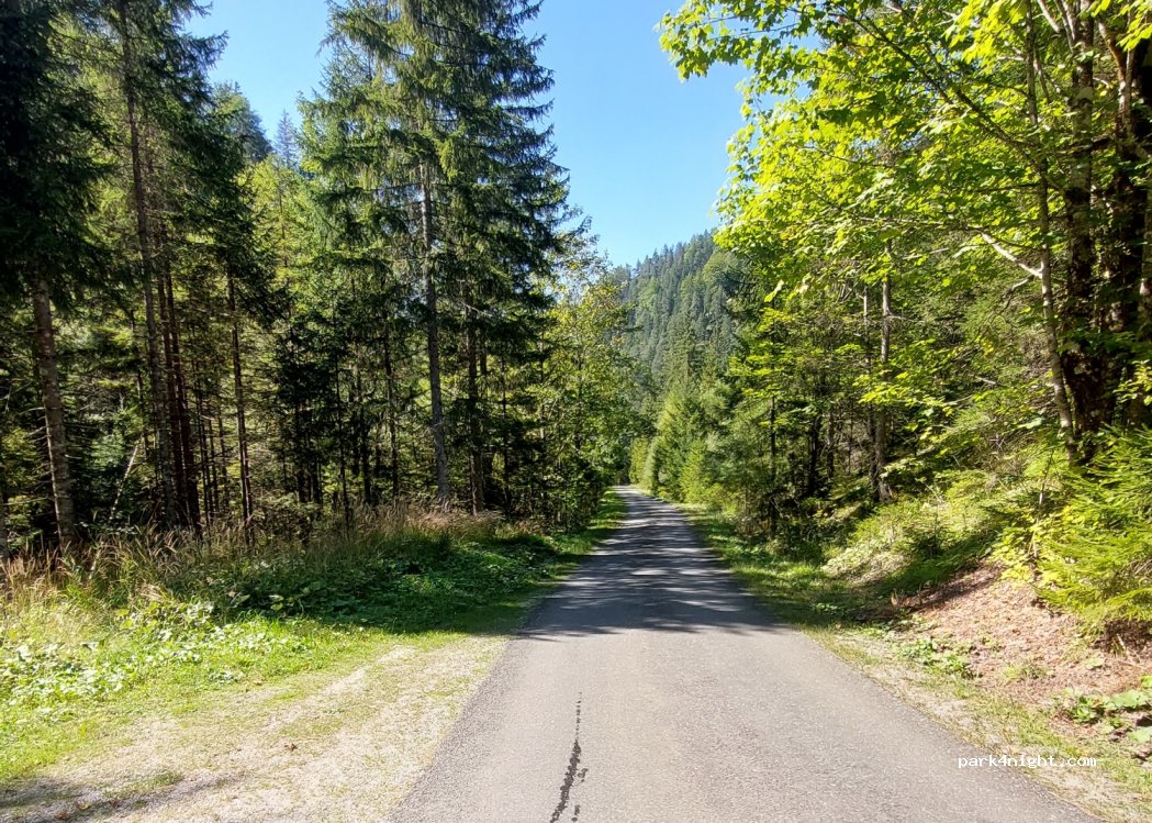 (8924) Wildalpen - Rothwald Weg — foto 2