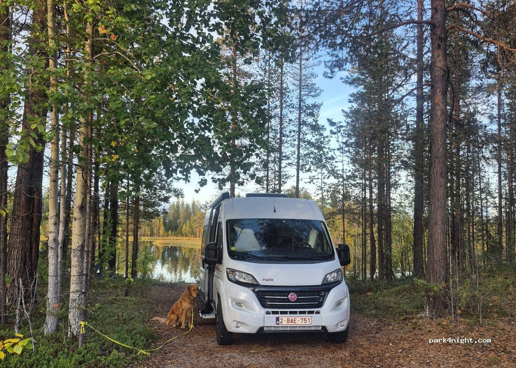 (980 41) Hakkas - — foto 4