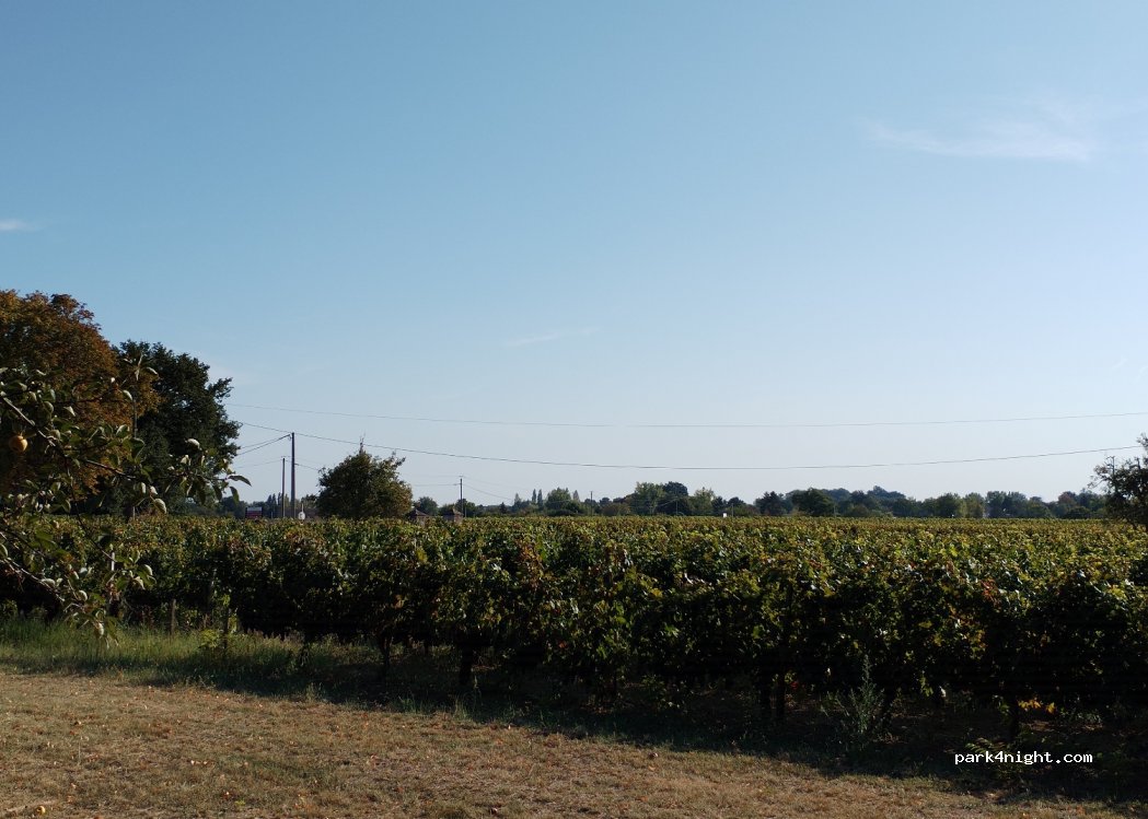 Camping Les Tilleuls — foto