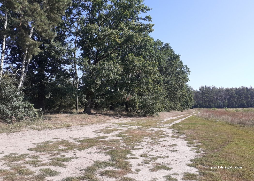 (15712) Königs Wusterhausen - — foto