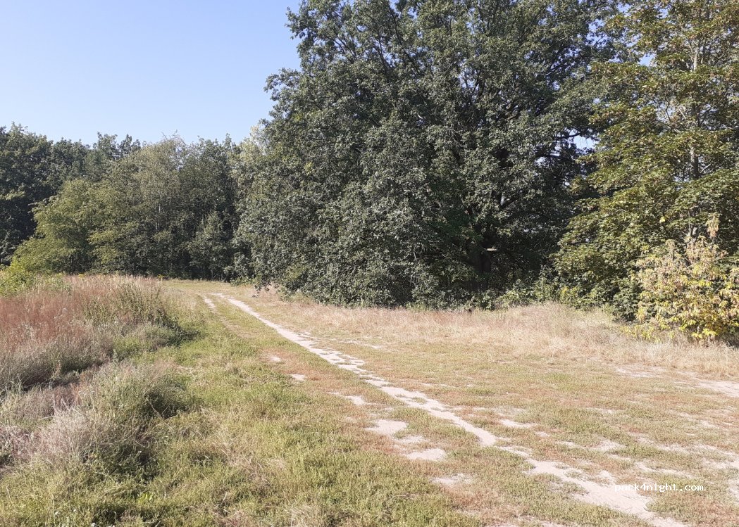 (15712) Königs Wusterhausen - — foto 2