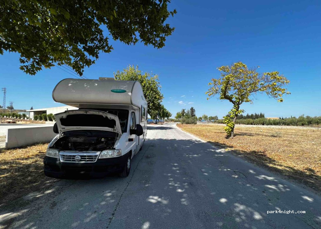 (14550) Montilla - — foto 3