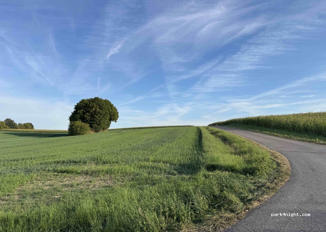 (91617) Oberdachstetten - 22 Büttelbergstraße — foto 4