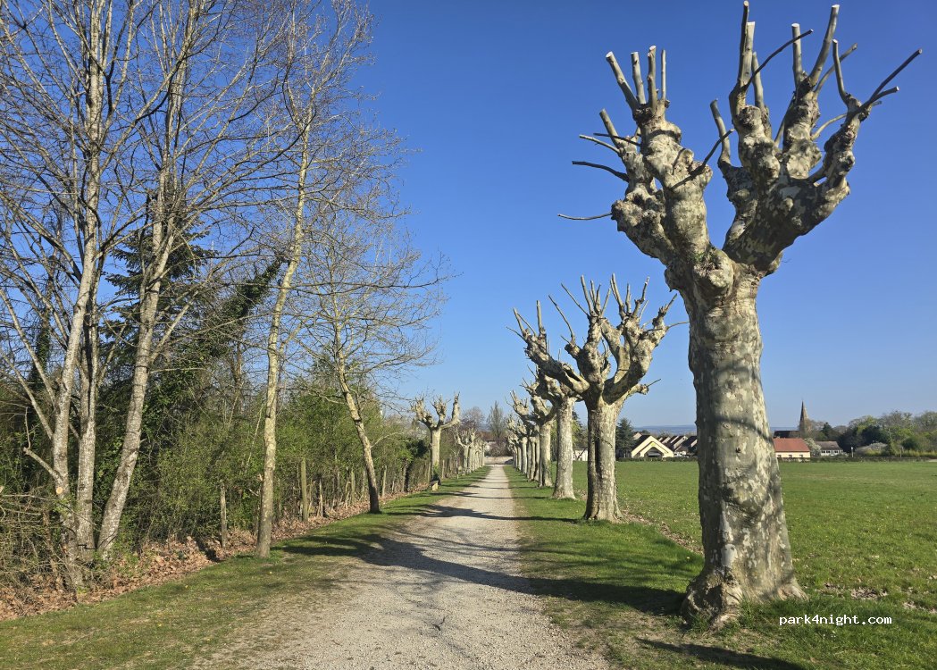 (71150) Demigny - 13 Montée des Poteaux — foto 3