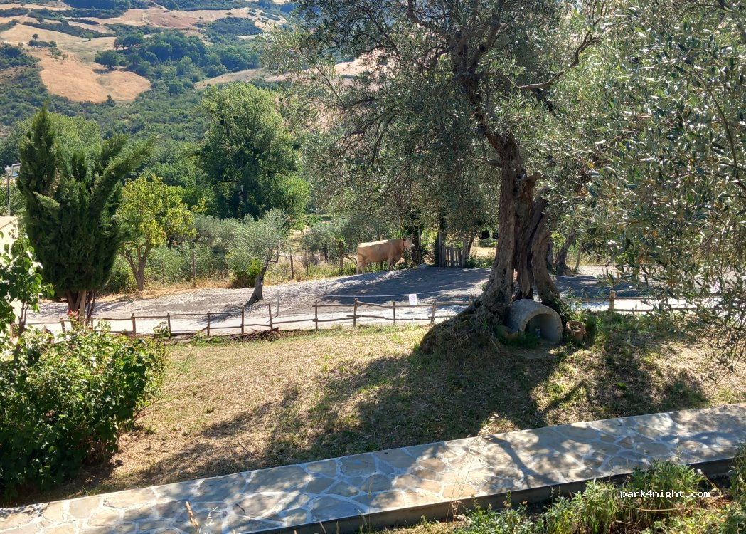 Agriturismo Sapori Del Parco — foto 2