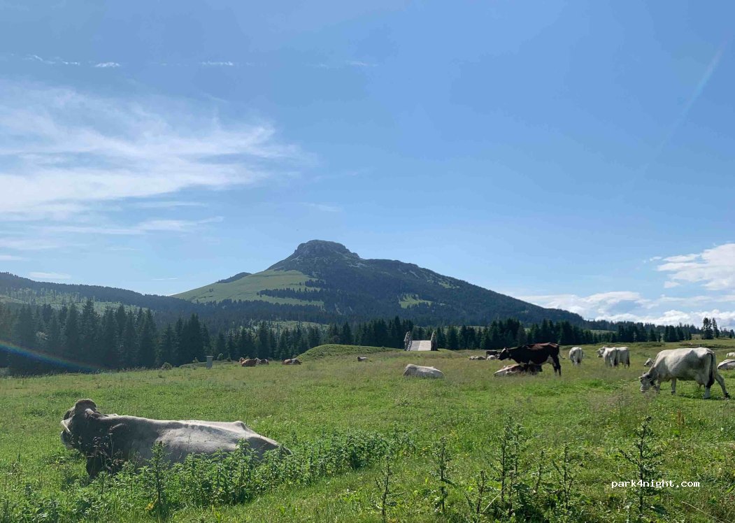 (38030) Passo Lavazé - 26 Strada Statale 620 — foto 4