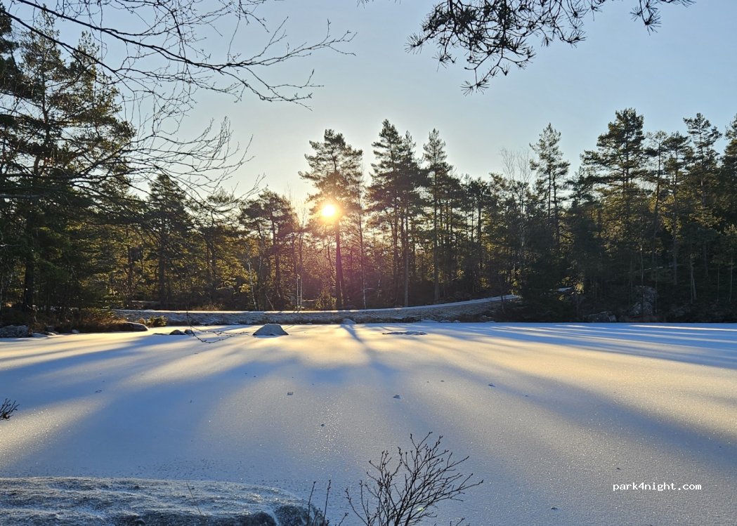 (446 93) Skepplanda - — foto 4