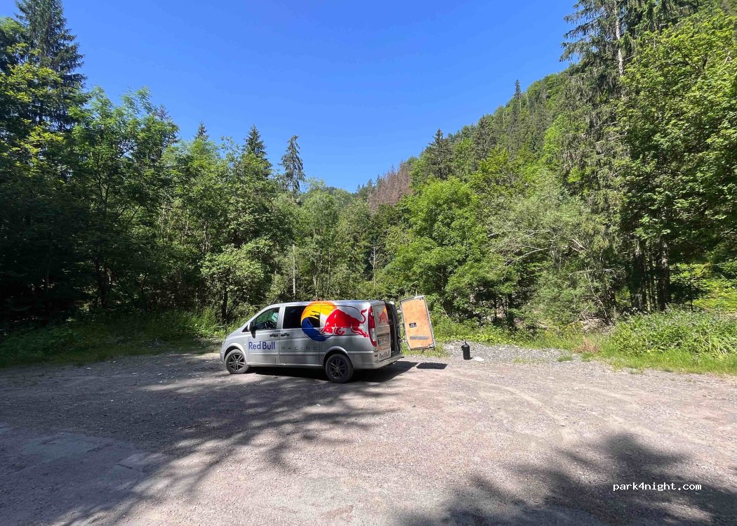 (74430) Saint-Jean-d'Aulps - 915 Route du Plan de Lesse — foto 3