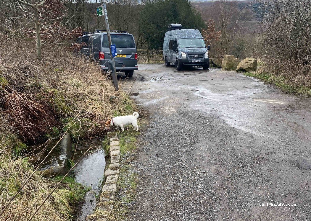 (S10 4LW) Sheffield - 3 Lodge Lane — foto 4