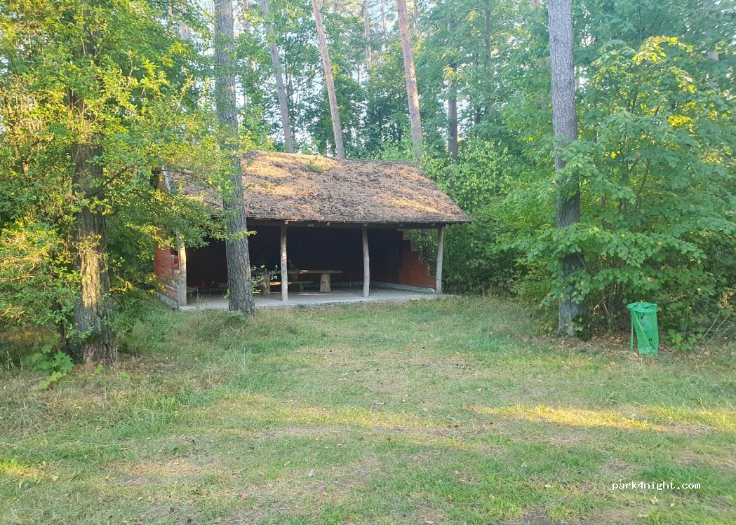 (19-206) Rajgród - 19 Podchoinki — foto