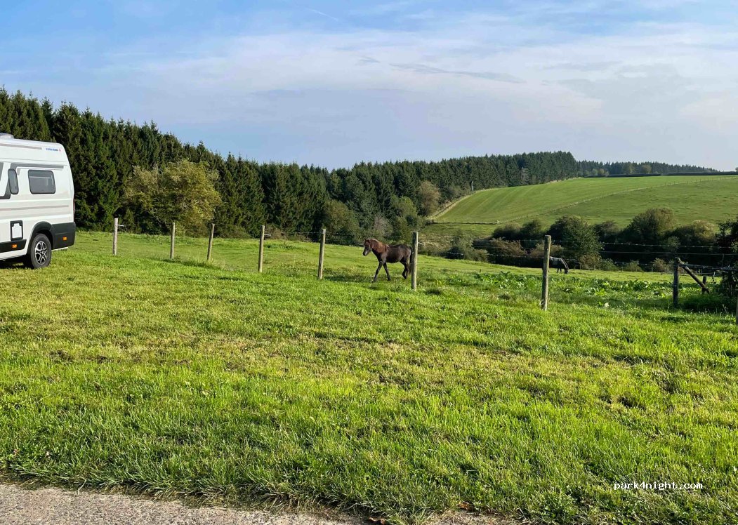 (53937) Schleiden - 46 Holter — foto
