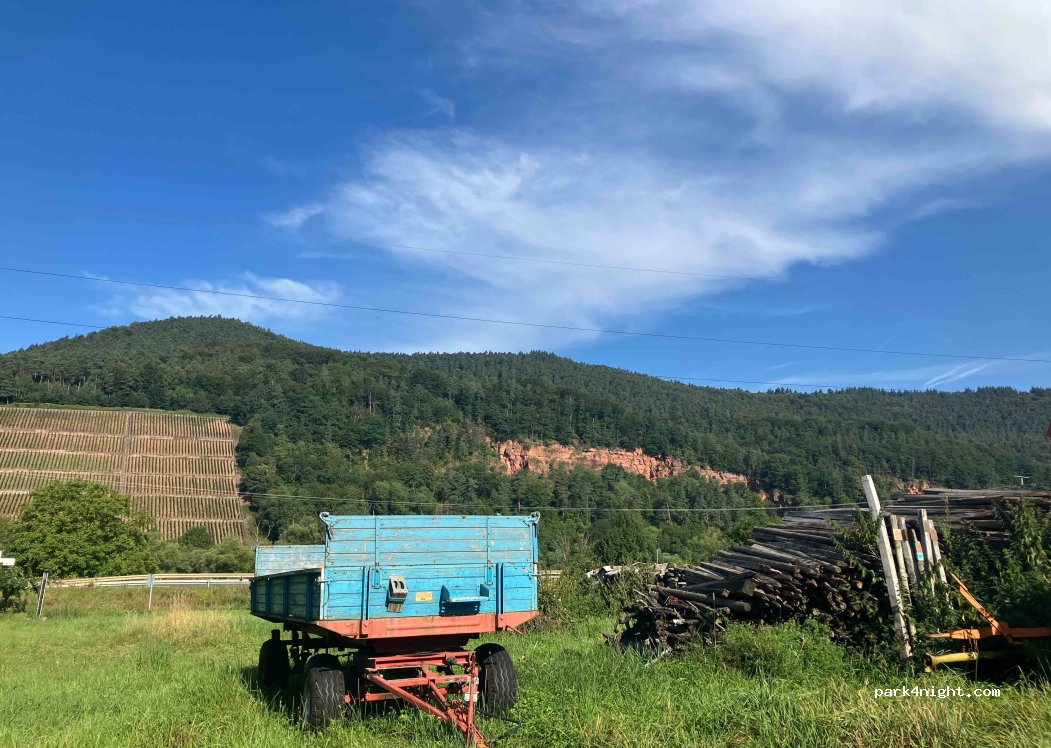 Weingut Stich — foto