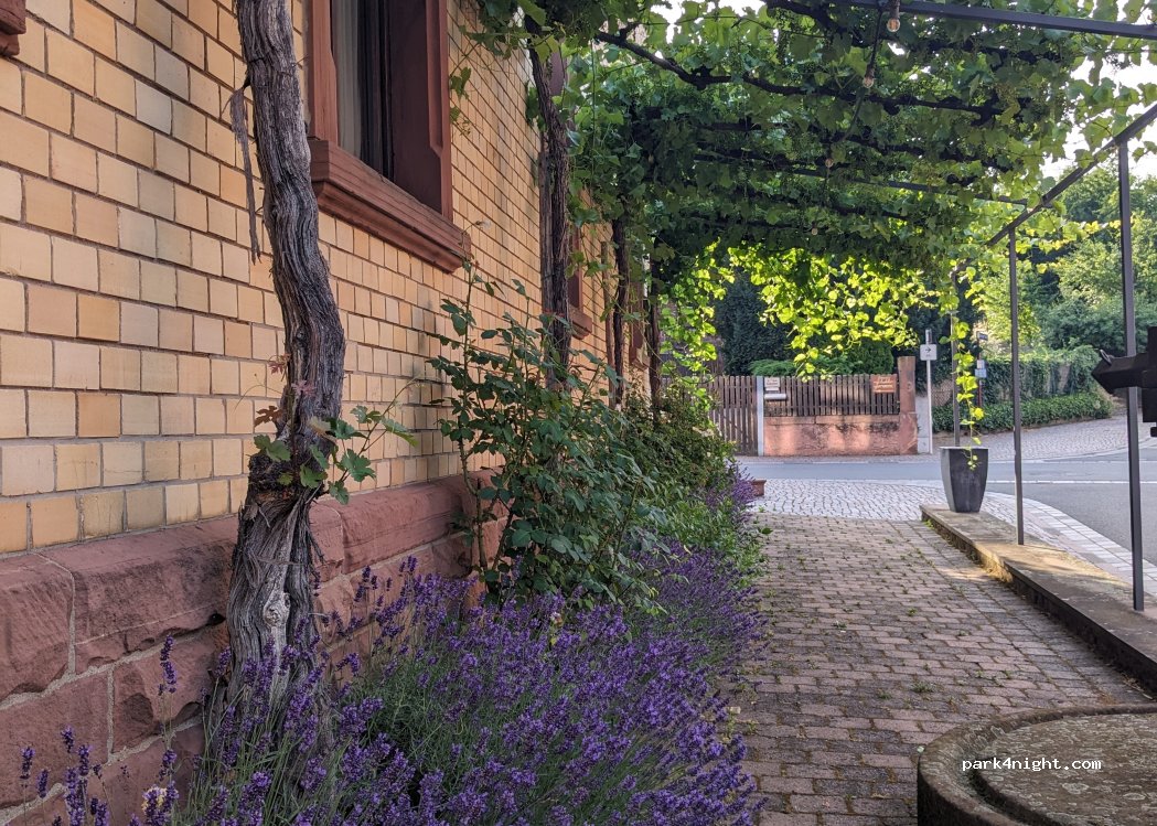 Weingut Stich — foto 2