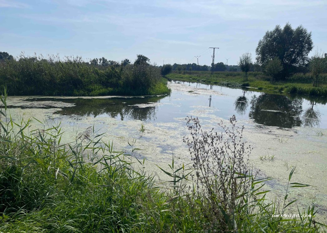 () Gusow-Platkow - L334 — foto 2