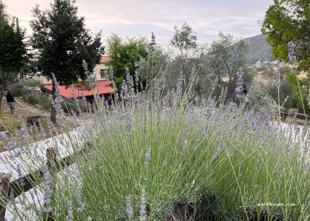 agri campeggio — foto 4