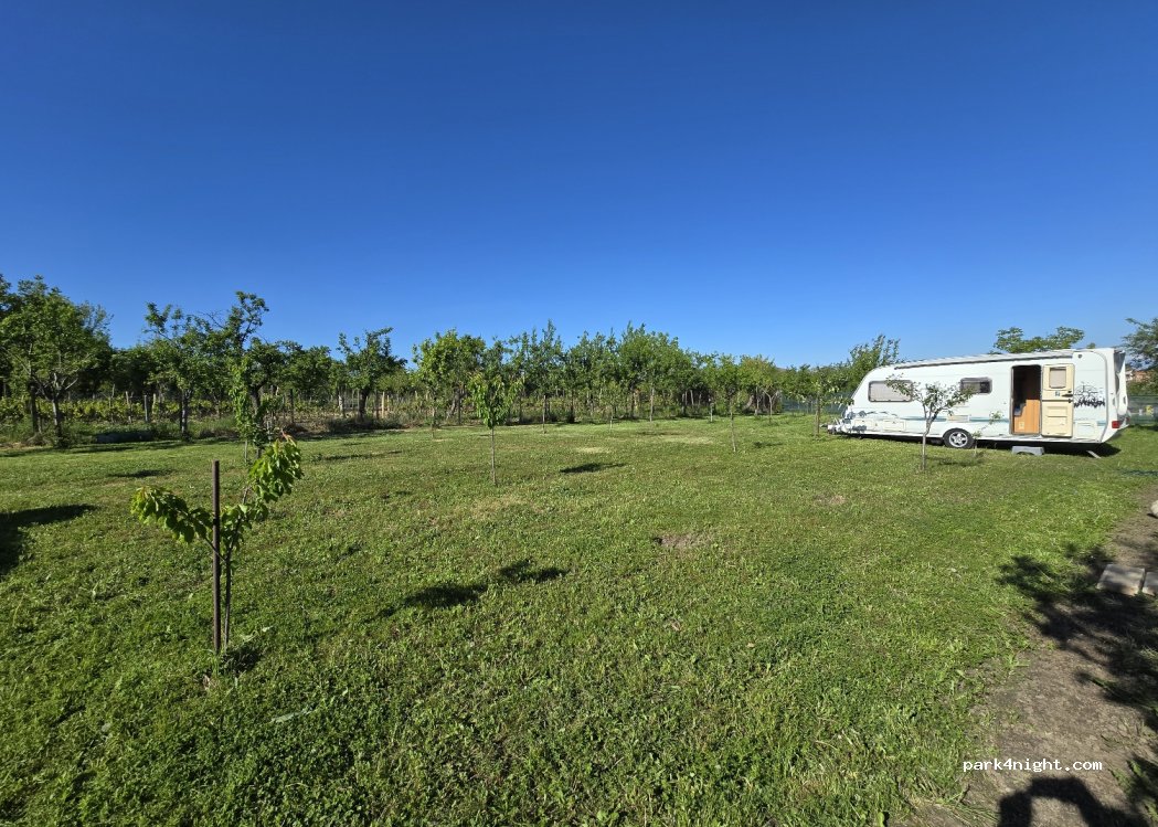 Camping Veverița -Buziaș — foto