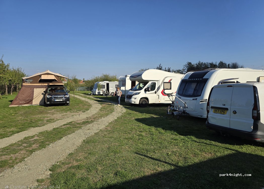 Camping Veverița -Buziaș — foto 3