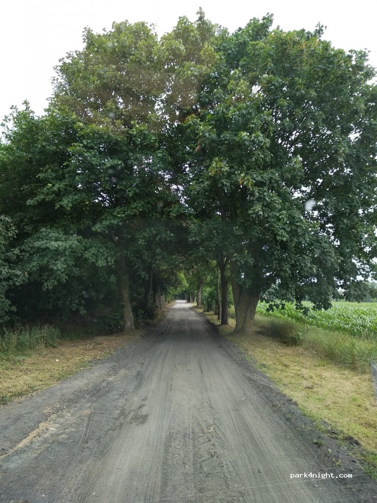 (72-400) Buniewice - Unnamed Road — foto 4