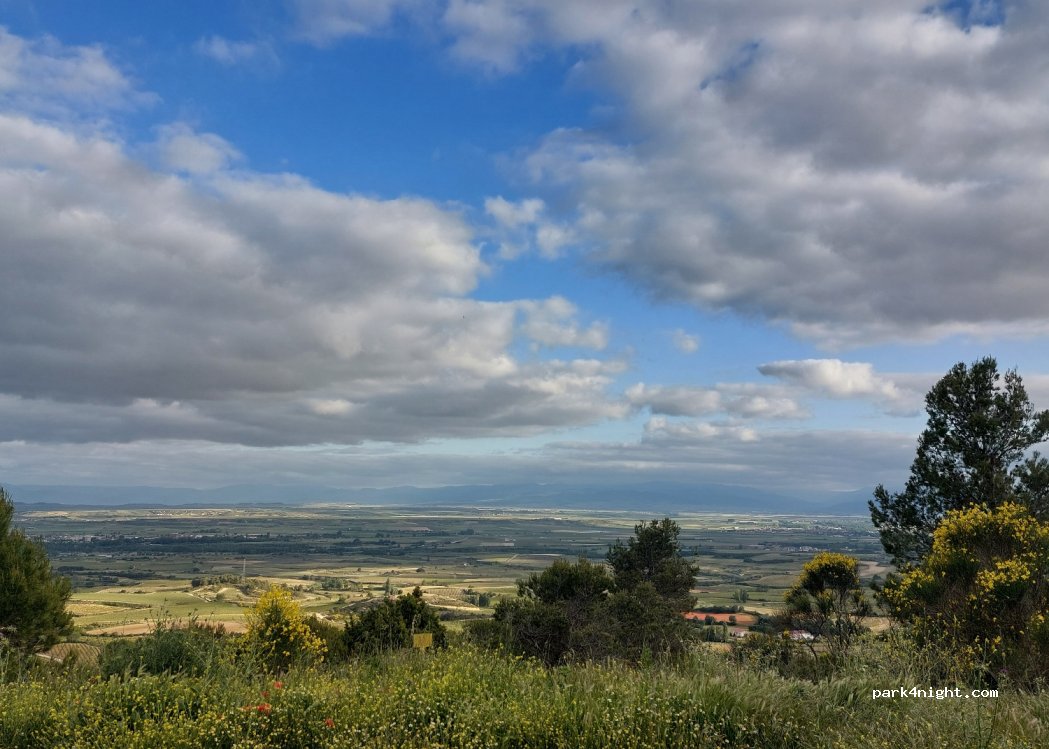 (26292) Villalba de Rioja - Cam. Portillo — foto 3
