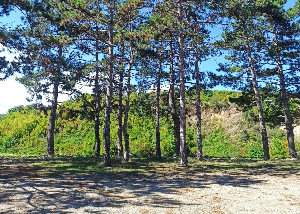 (2206) Ikalto - Ikalto Academy Road — foto 2
